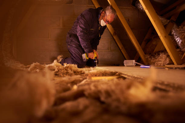 Best Types of Insulation in Nome, AK